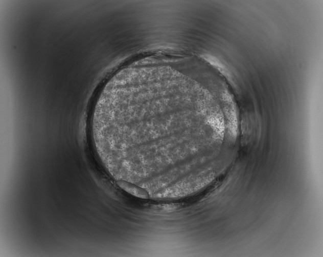 X0000096170492200802151438