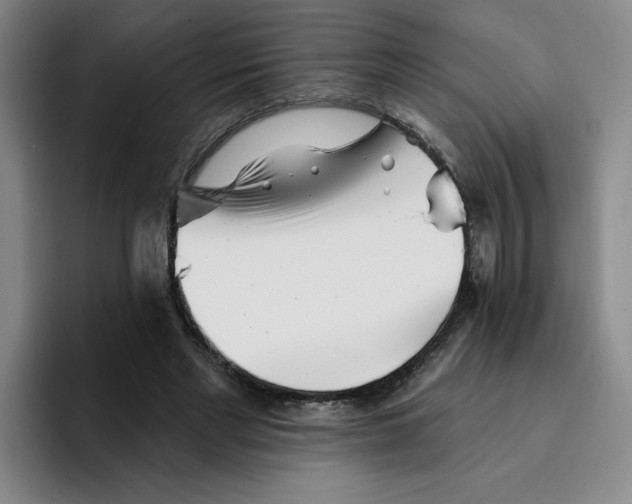X0000096170493200802151438