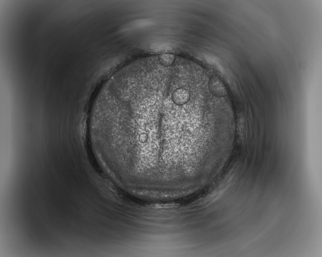 X0000096170495200802151437