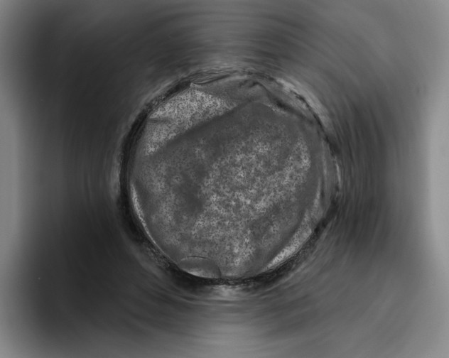 X0000096170496200802151437