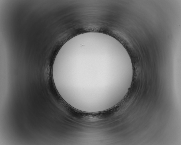 X0000096170498200802151437