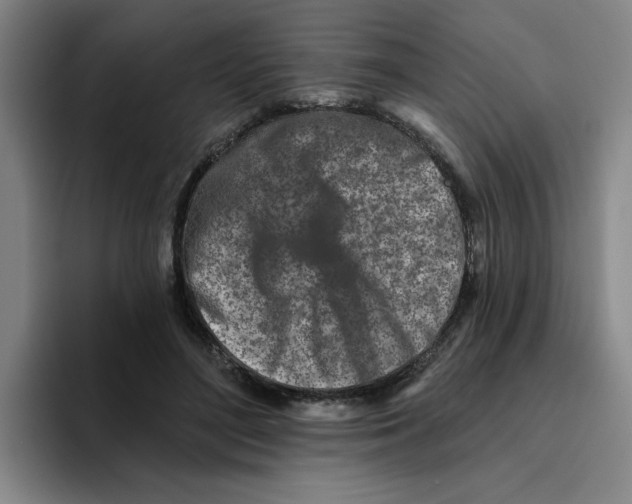 X0000096170500200802151437