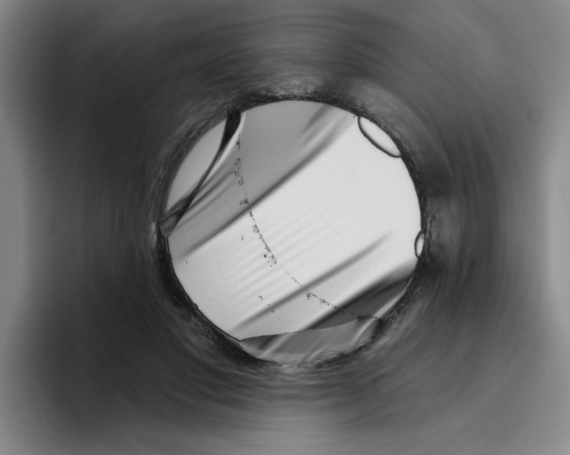 X0000096170501200802151437