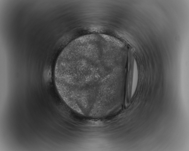 X0000096170502200802151437