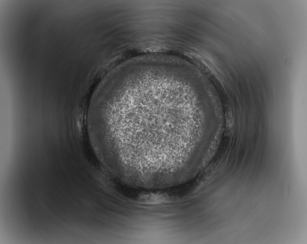 X0000096170503200802151437