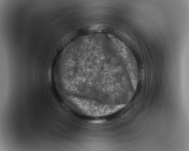 X0000096170504200802151437