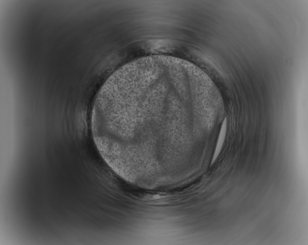 X0000096170506200802151437