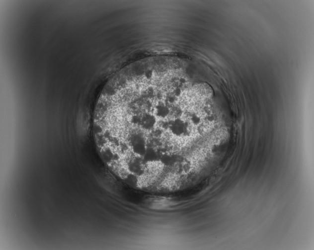 X0000096170507200802151437