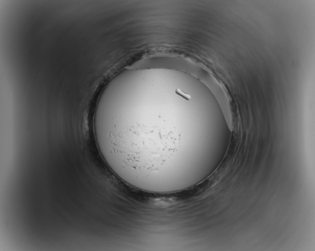 X0000096170508200802151437