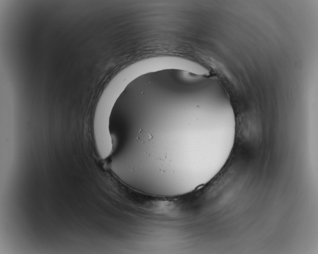 X0000096170509200802151437