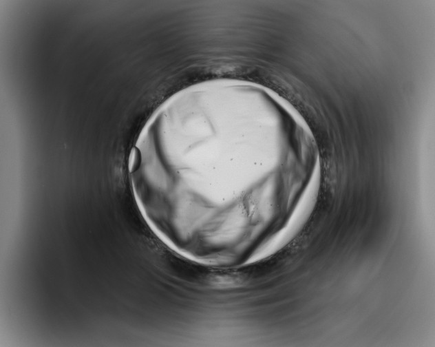 X0000096170510200802151437