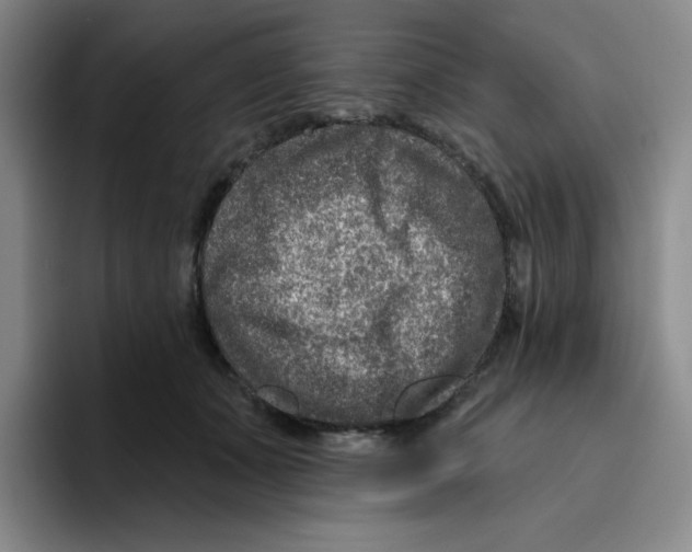 X0000096170511200802151437