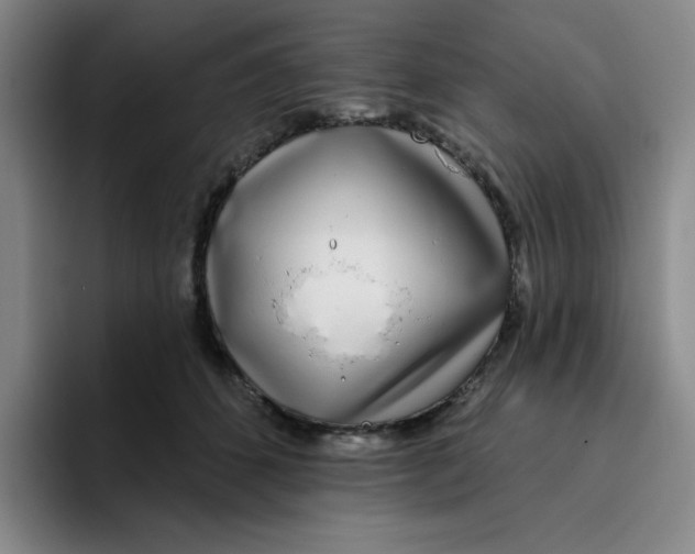 X0000096170512200802151437
