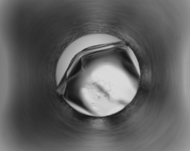 X0000096170513200802151437
