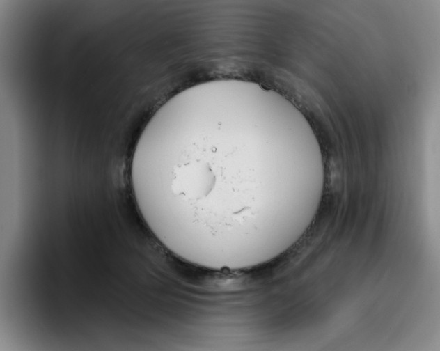 X0000096170514200802151437