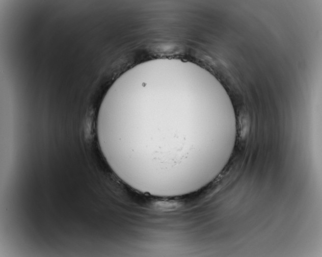 X0000096170515200802151437