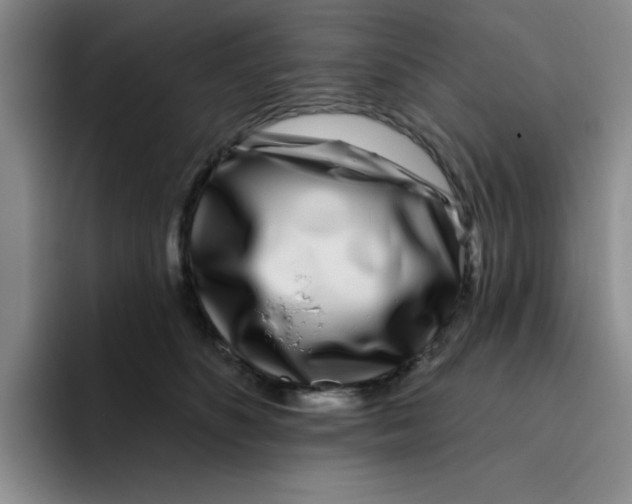 X0000096170516200802151437