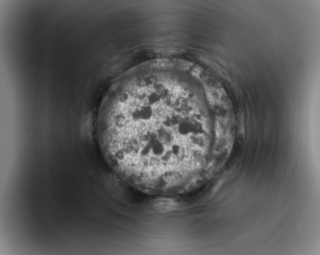 X0000096170519200802151437