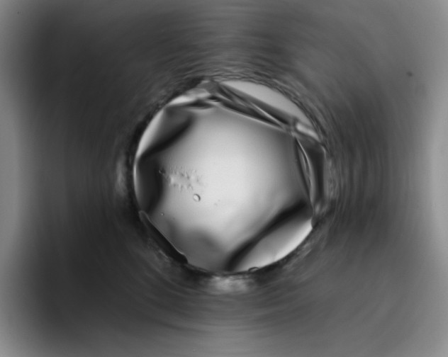 X0000096170520200802151437