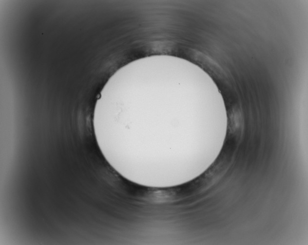 X0000096170522200802151437