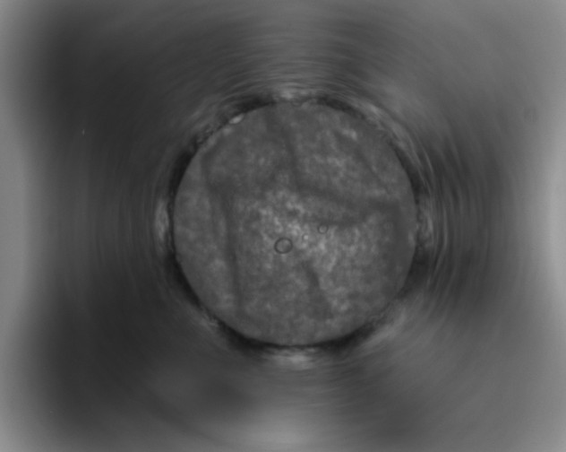 X0000096170523200802151437