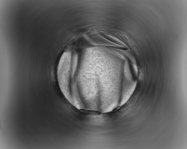 X0000096170524200802151437