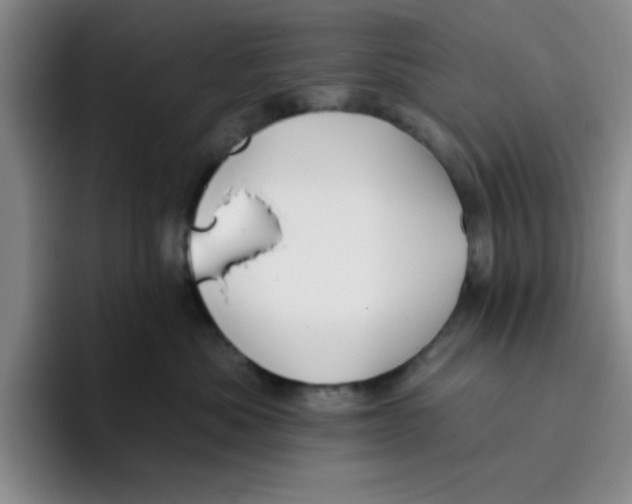 X0000096170525200802151437