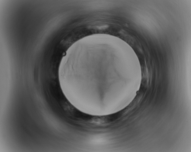 X0000096170526200802151437