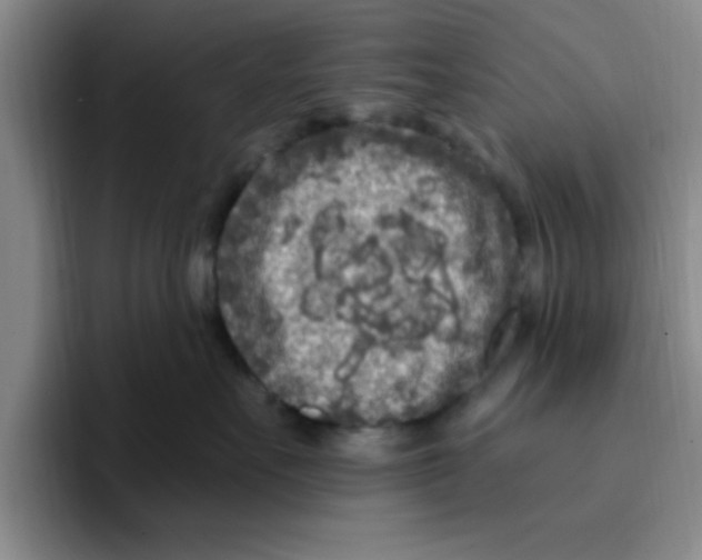 X0000096170527200802151437