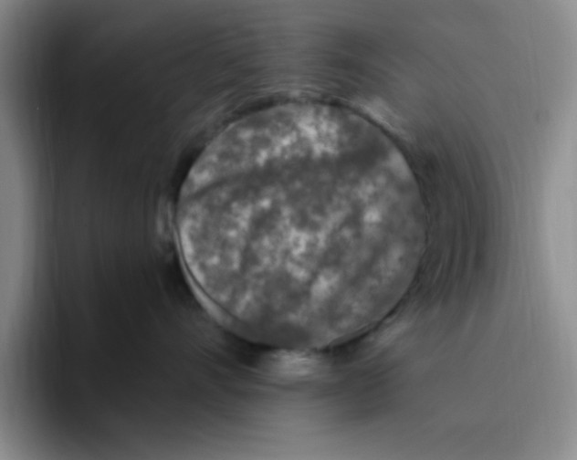 X0000096170528200802151437