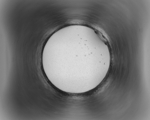 X0000096170529200802151436