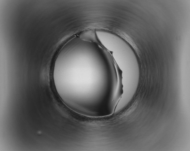 X0000096170530200802151436