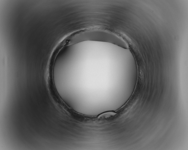 X0000096170532200802151436