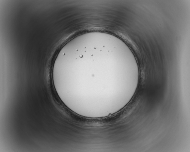 X0000096170533200802151436