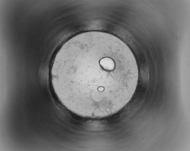 X0000096170534200802151437