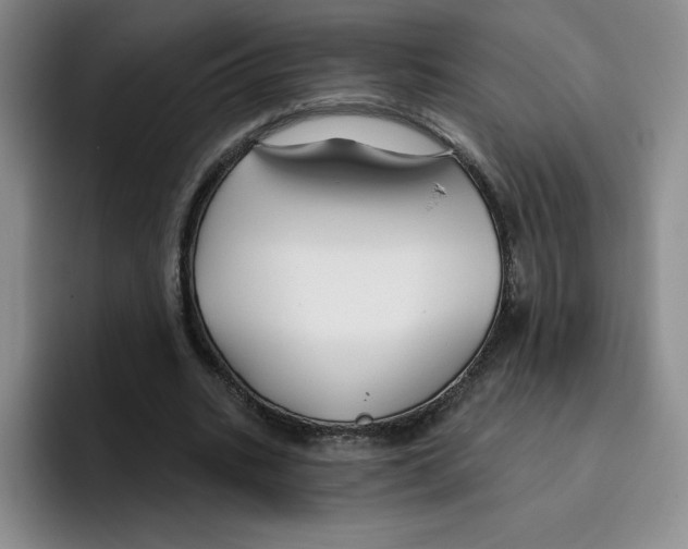 X0000096170535200802151437