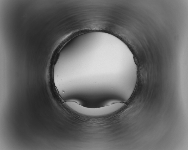 X0000096170536200802151437