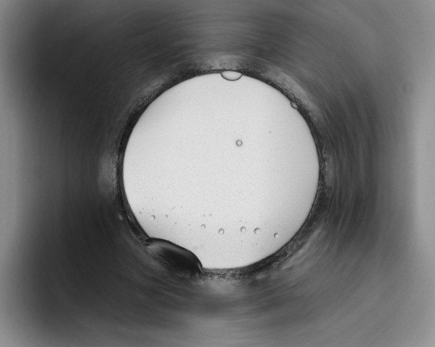X0000096170537200802151437