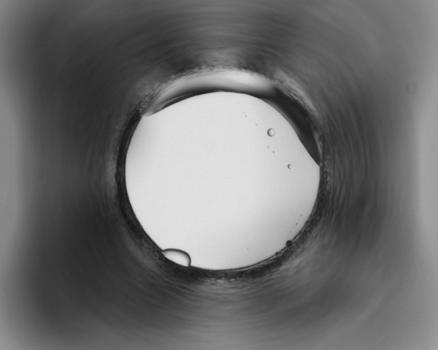 X0000096170538200802151437