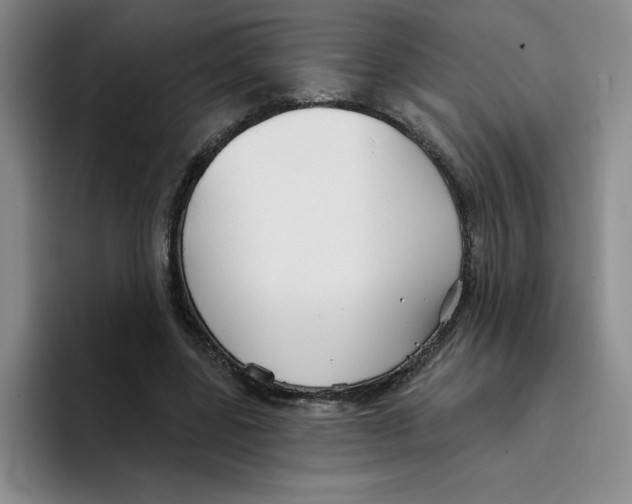 X0000096170539200802151437