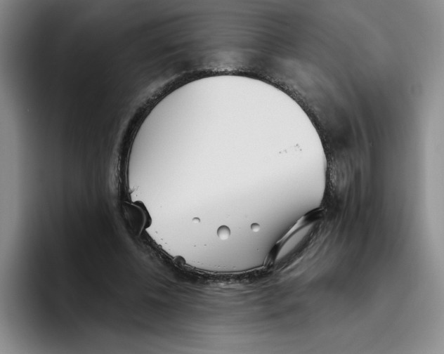 X0000096170540200802151437