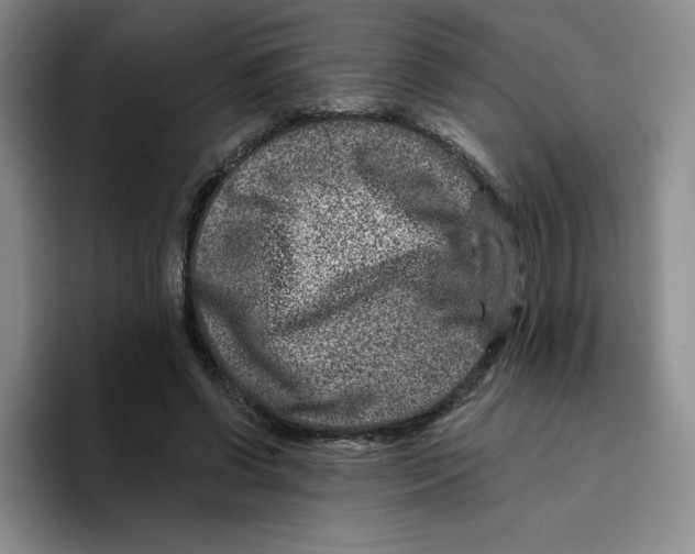 X0000096170542200802151437
