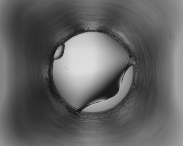X0000096170543200802151437