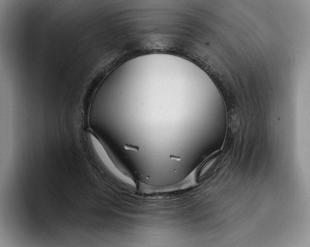 X0000096170544200802151437