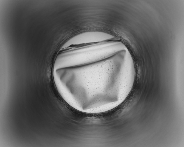 X0000096170545200802151437