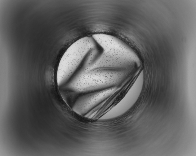 X0000096170547200802151437