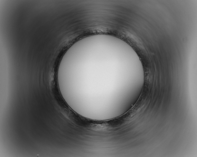 X0000096170548200802151437