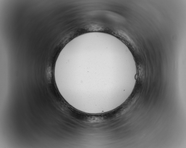 X0000096170549200802151437