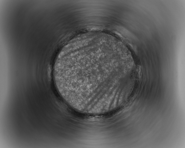 X0000096170550200802151437