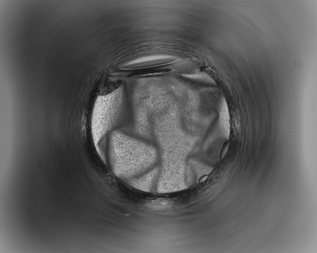 X0000096170551200802151437